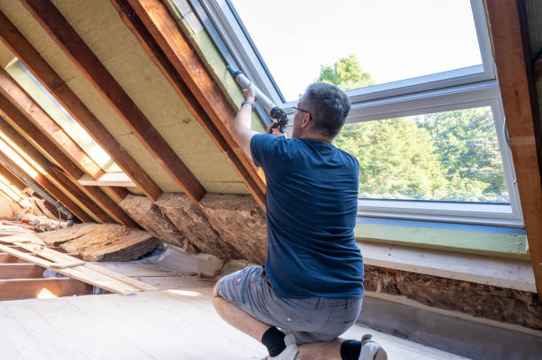 Best Basement Window Installation  in Woodhaven, MI